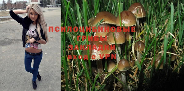 MESCALINE Зеленокумск