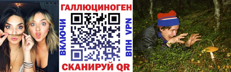 блэк спрут   закладки  Каменск-Шахтинский  Галлюциногенные грибы мухоморы 